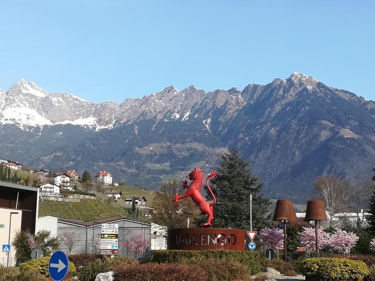 Marlingsuites - Vinea - Wieser Josef - Apartment Marlengo
