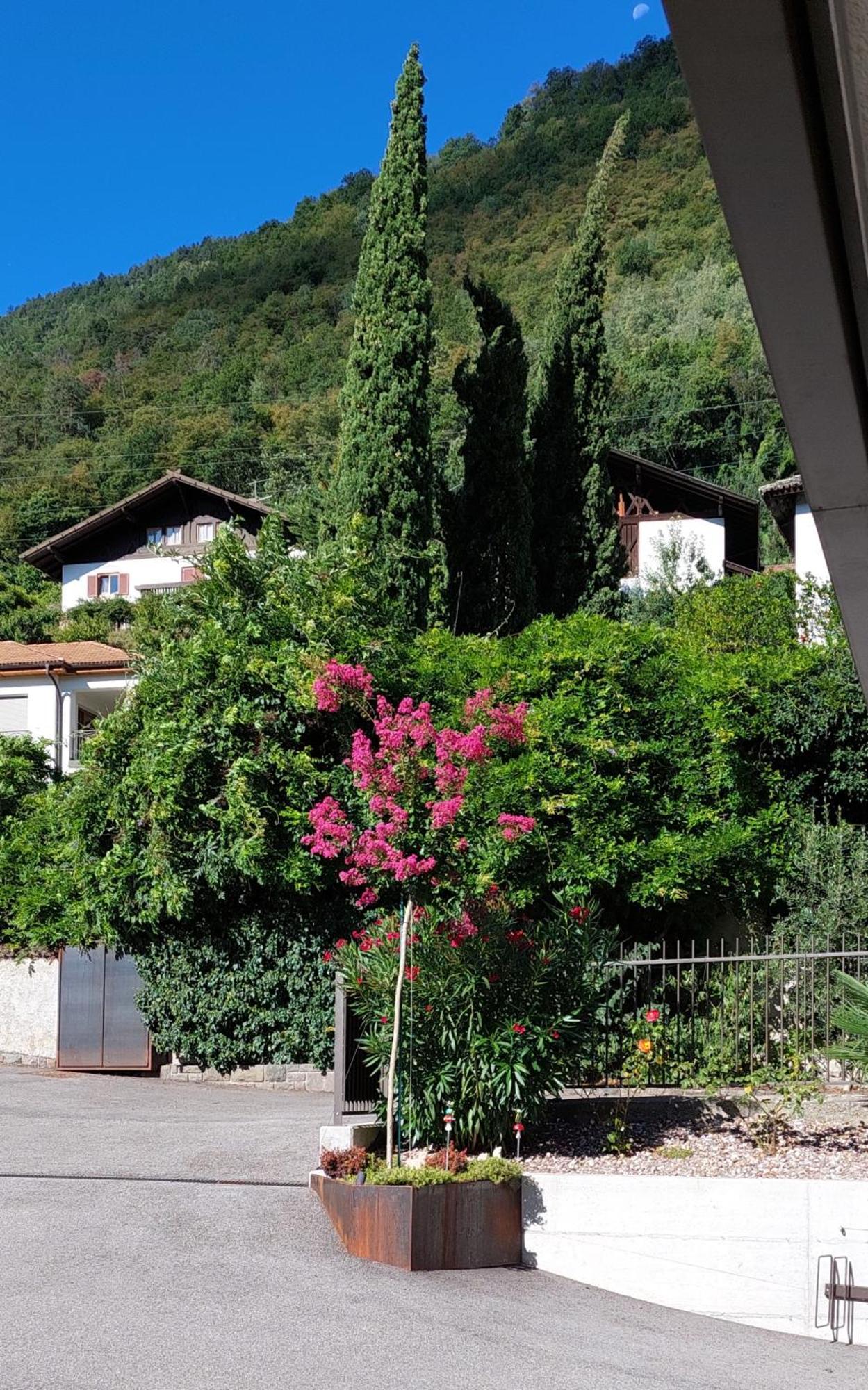 Apartment Marlingsuites - Vinea - Wieser Josef - *