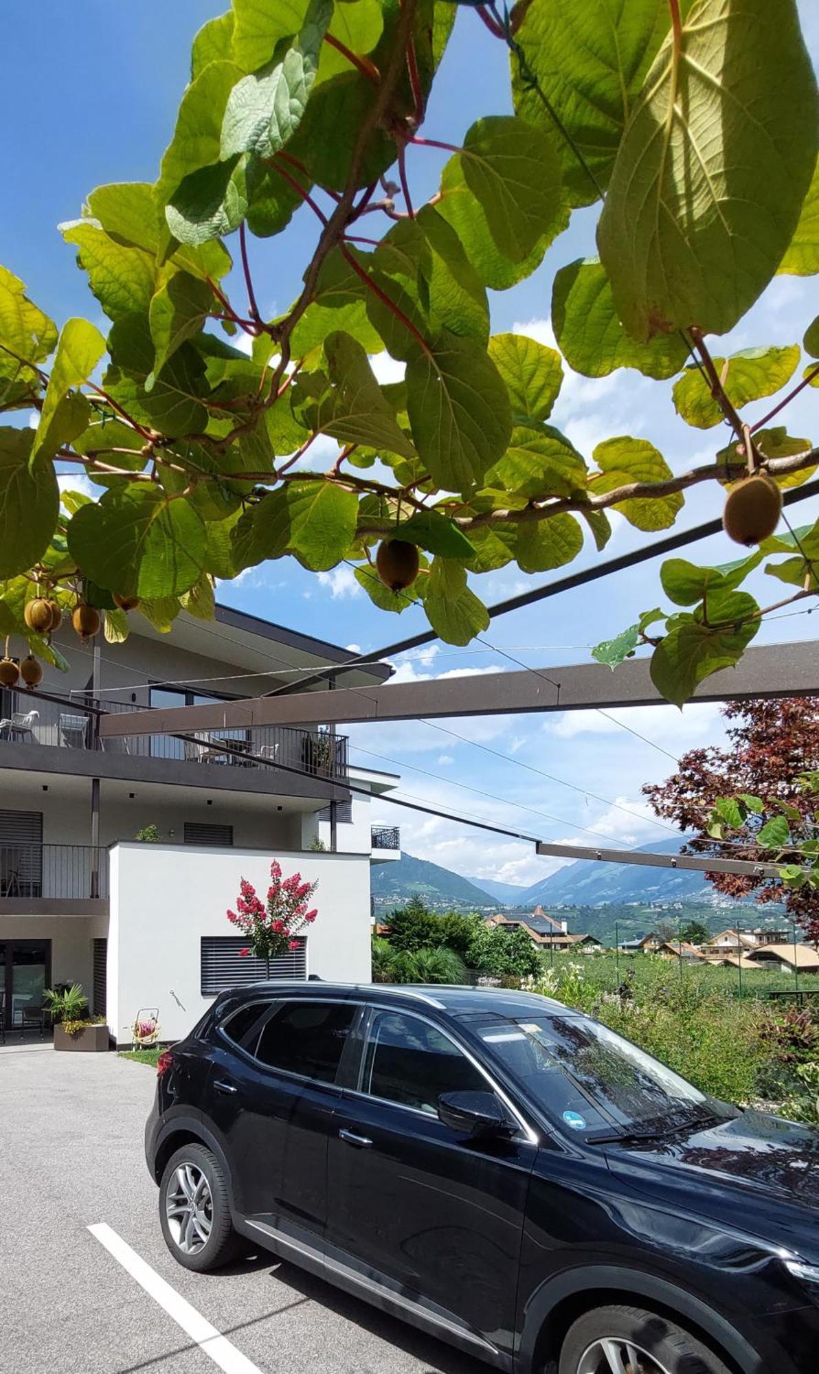 Apartment Marlingsuites - Vinea - Wieser Josef - Marlengo