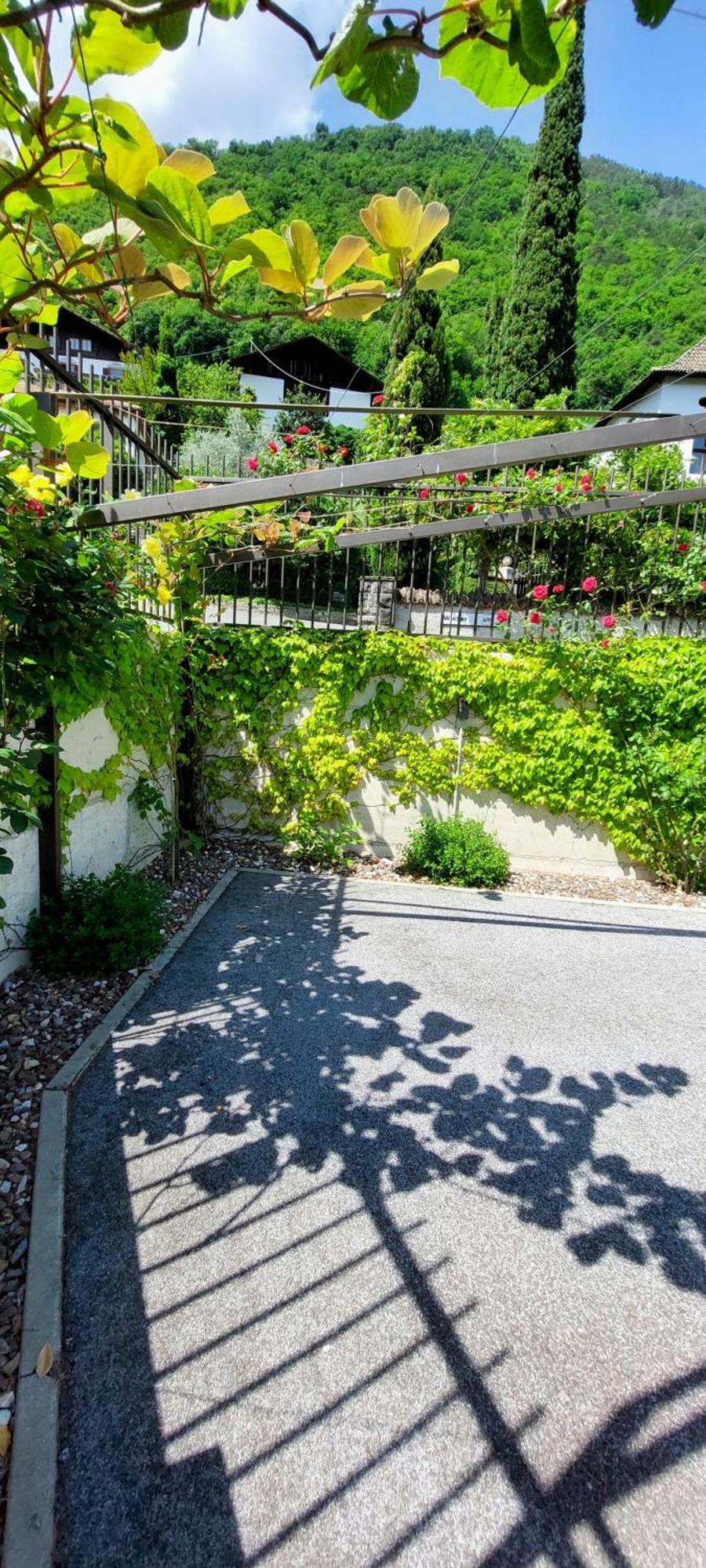 Apartment Marlingsuites - Vinea - Wieser Josef -