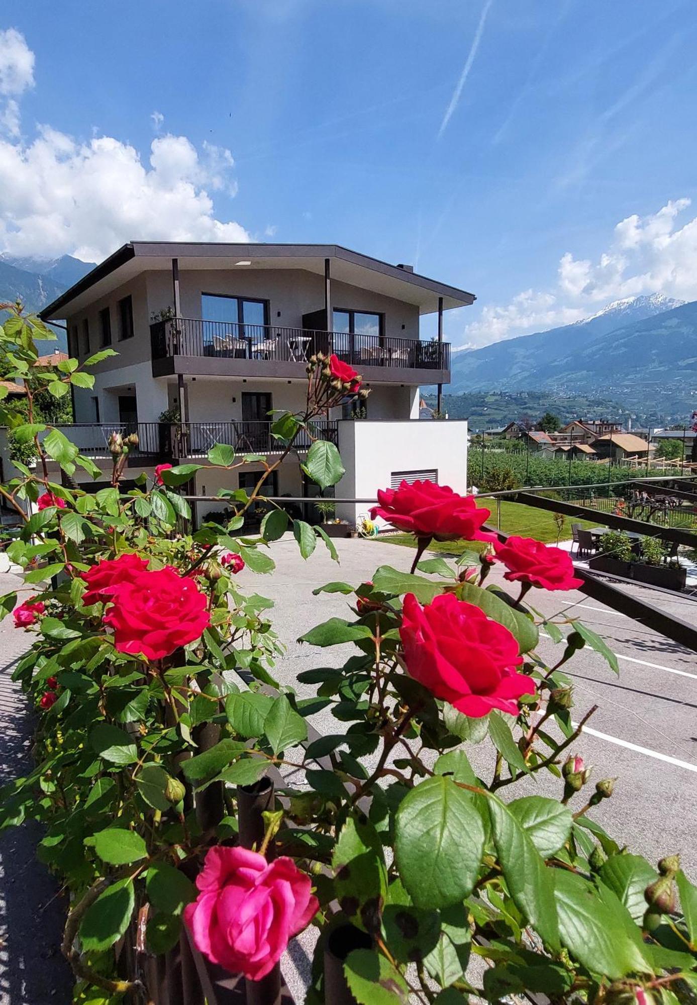Apartment Marlingsuites - Vinea - Wieser Josef - *