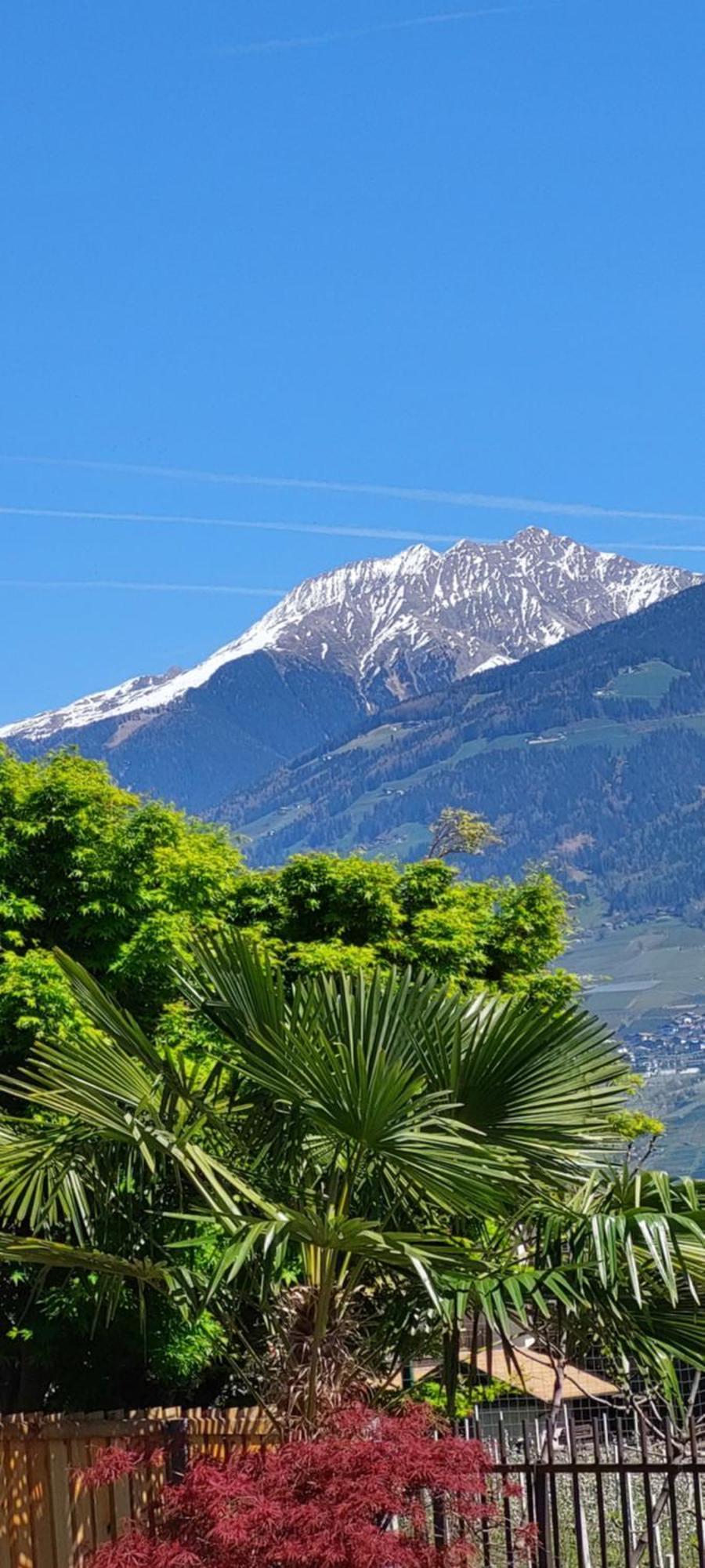 Marlingsuites - Vinea - Wieser Josef - *