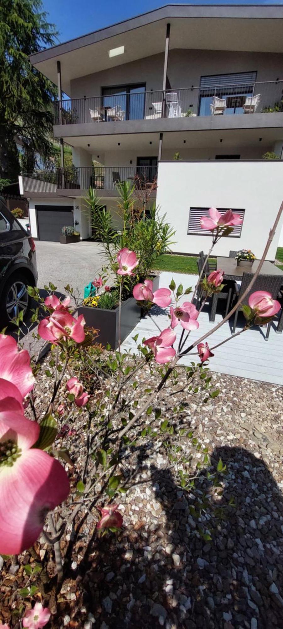 Apartment Marlingsuites - Vinea - Wieser Josef - Marlengo