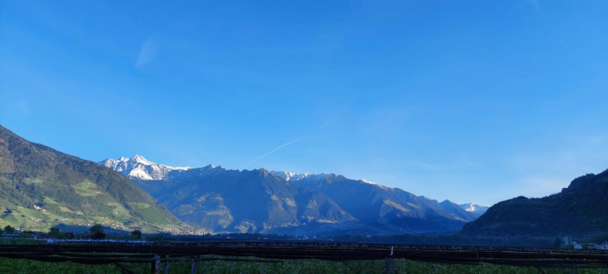 Marlingsuites - Vinea - Wieser Josef - Apartment